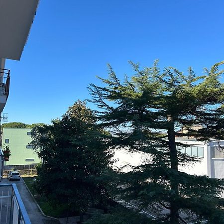 B&B Serangi - Il Piacere Di Sentirsi A Casa Cercola Exteriör bild